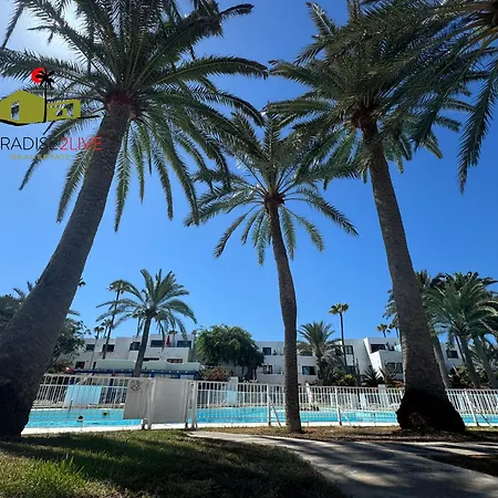 Urban * קורלחו